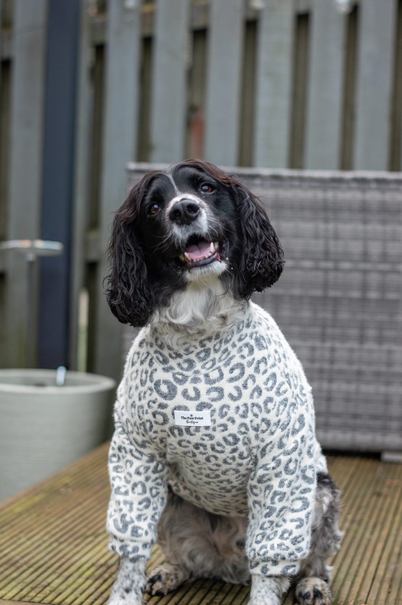 The Grey & Glittery Leopard Print Teddy Fleece