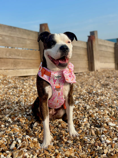 Under the Sea Adventure Paws Harness