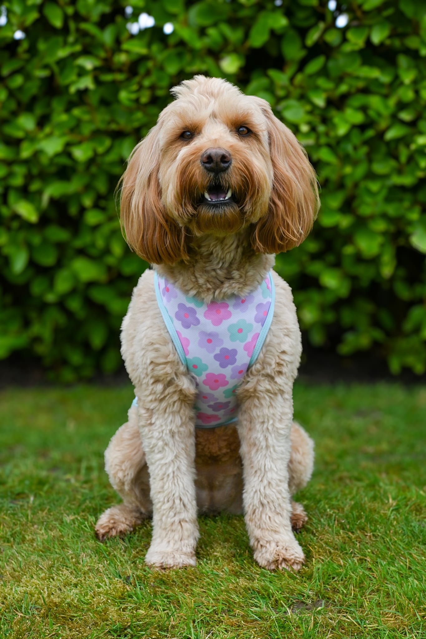 Minty Meadows / Flower Power Cooling Vest