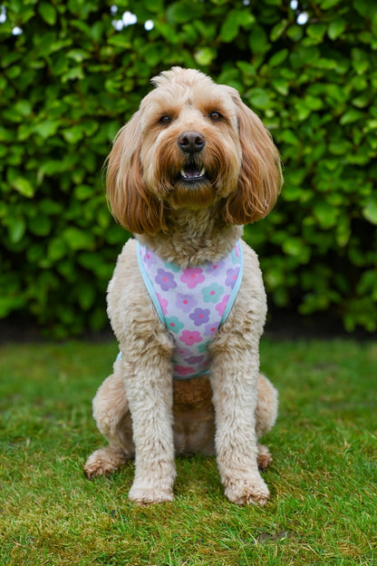 Minty Meadows / Flower Power Cooling Vest