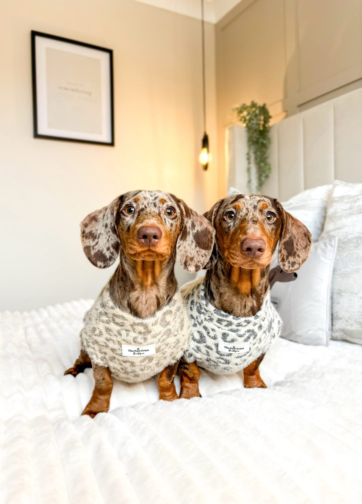 The Grey & Glittery Leopard Print Teddy Fleece