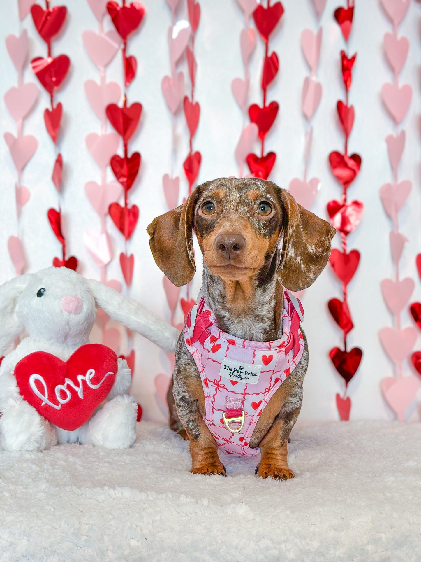 Pink Chequered Hearts Adventure Paws Harness