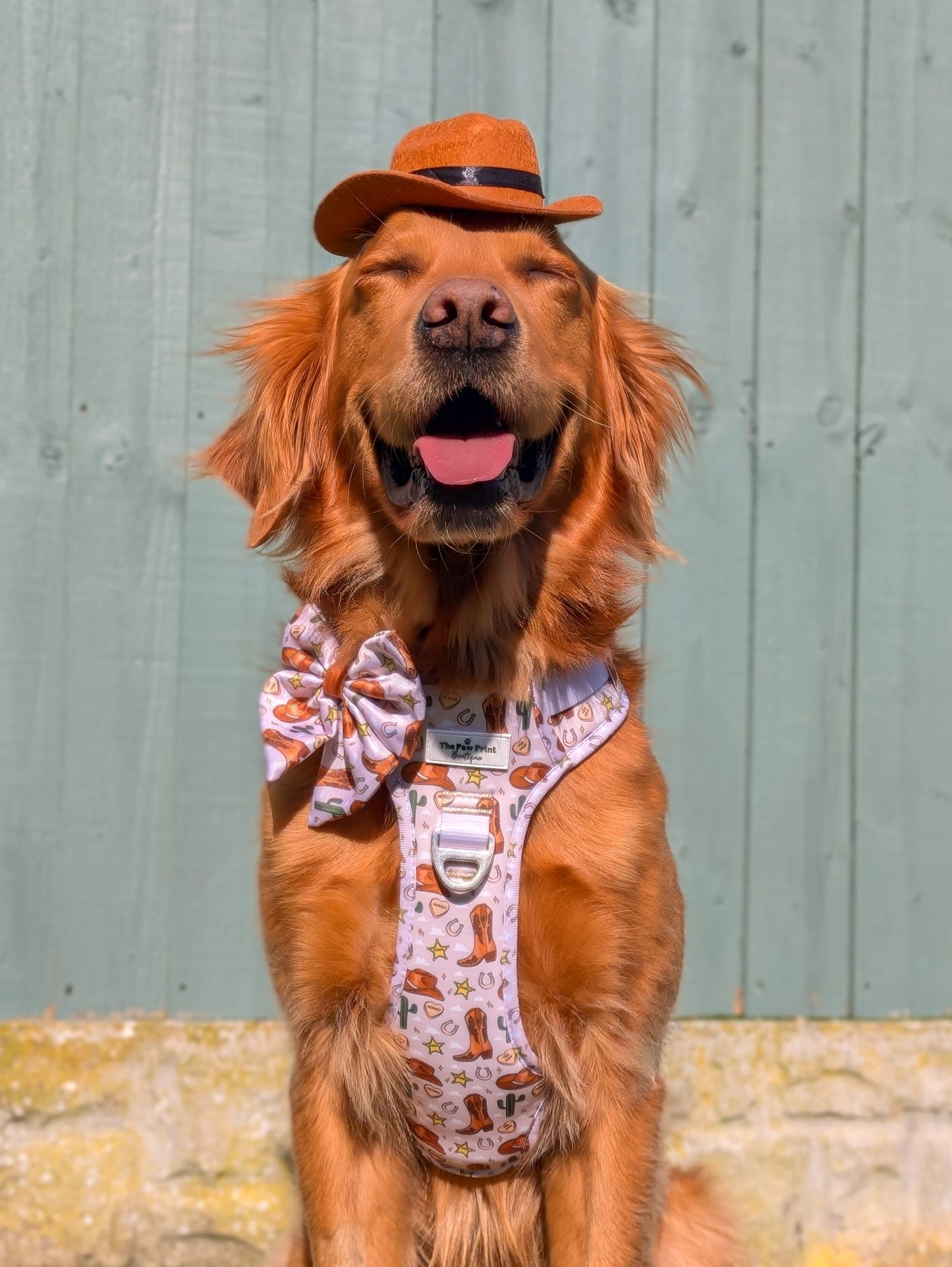 Howdy Pawtner Adventure Paws Harness