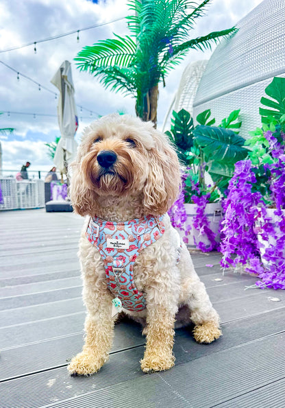 She sells Seashells by the YEEHAW Adventure Paws Harness