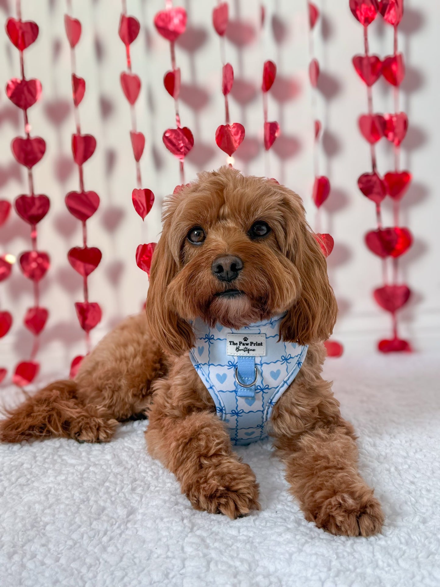 Blue Chequered Hearts Adjustable Harness