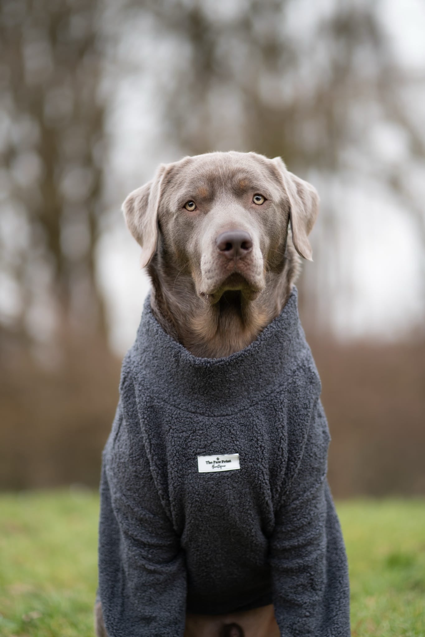 Teddy Fleece - Charcoal Grey