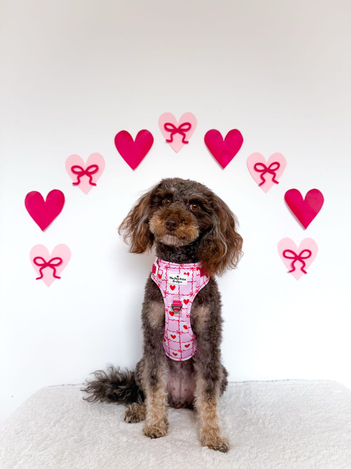 Pink Chequered Hearts Adventure Paws Harness