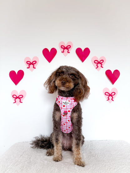 Pink Chequered Hearts Adventure Paws Harness
