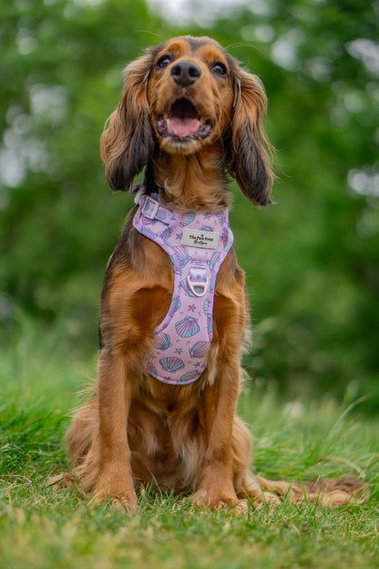 Mermaids Tails Adventure Paws Harness