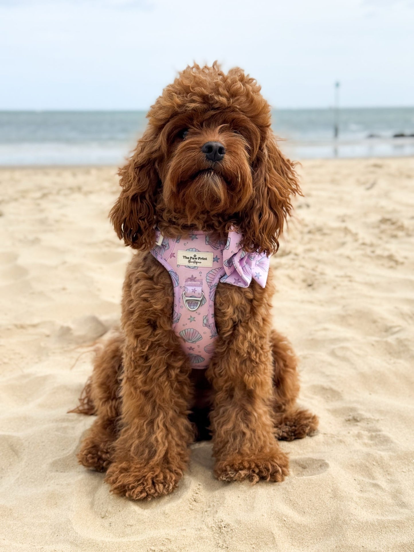 Mermaids Tails Adventure Paws Harness