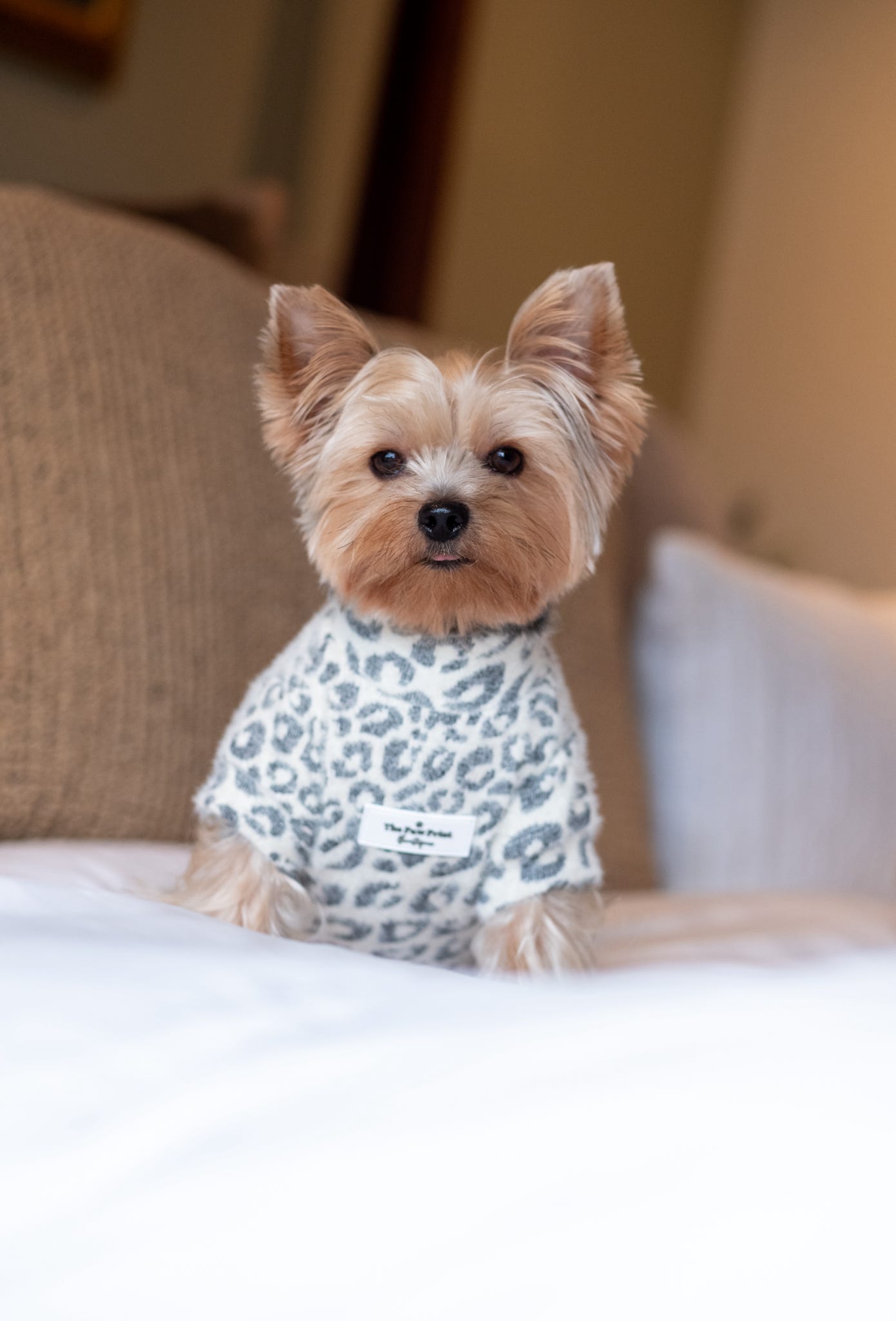 The Grey & Glittery Leopard Print Teddy Fleece