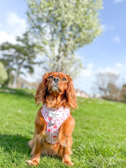 The Bows & Berries Adjustable Harness