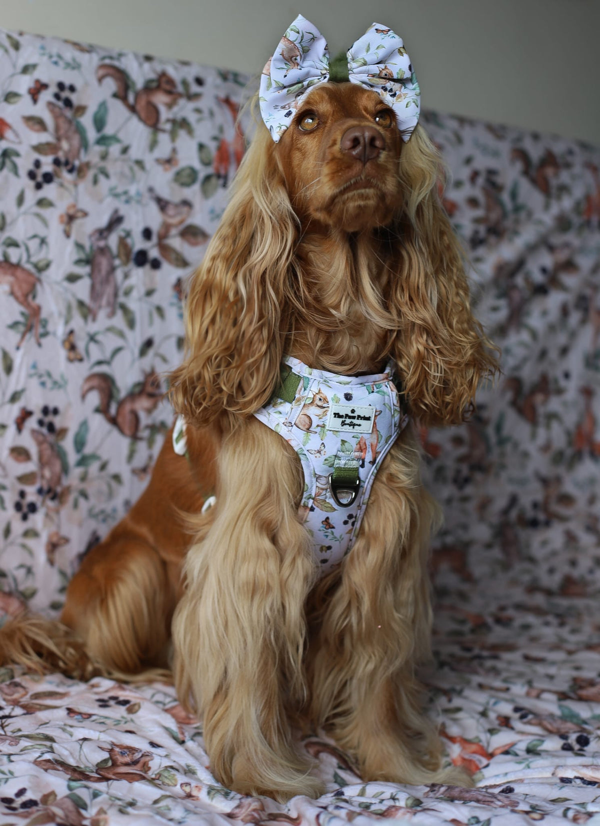 Whimsical Wildlife Adventure Paws Harness