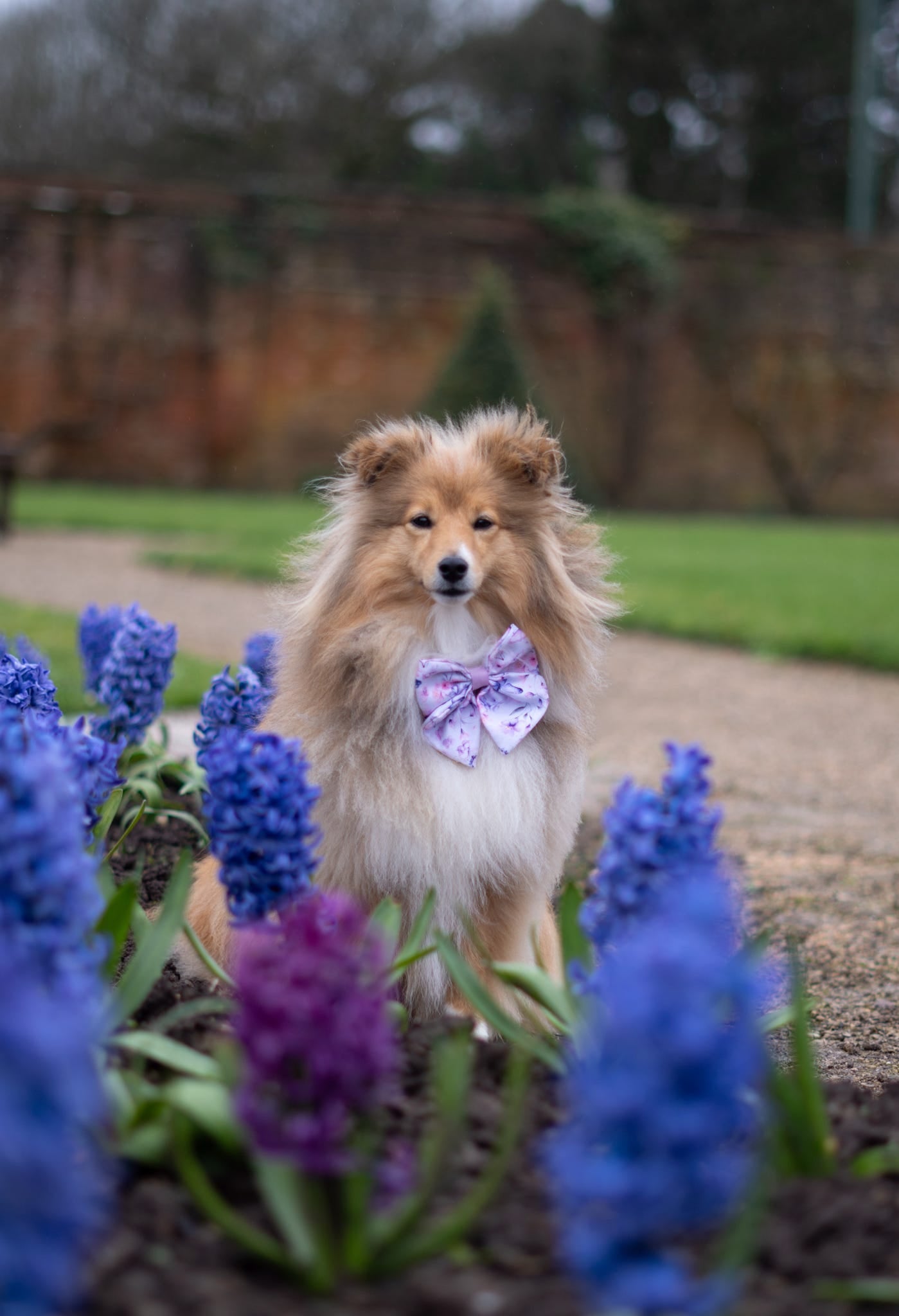 Butterfly Bliss Bow Tie