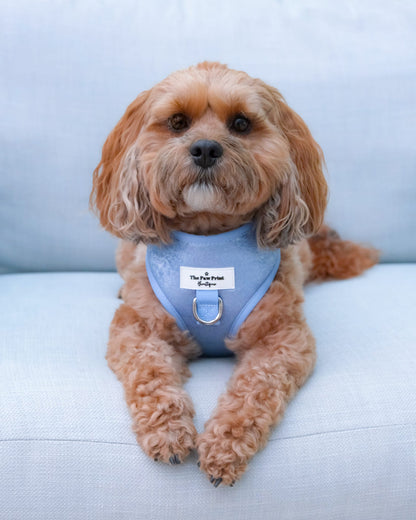 The Ocean Blue Adjustable Harness