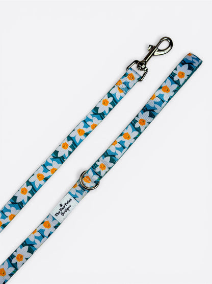 Daffodil Daze Lead