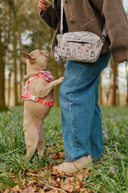 The French Bulldog Dog Walking Bag