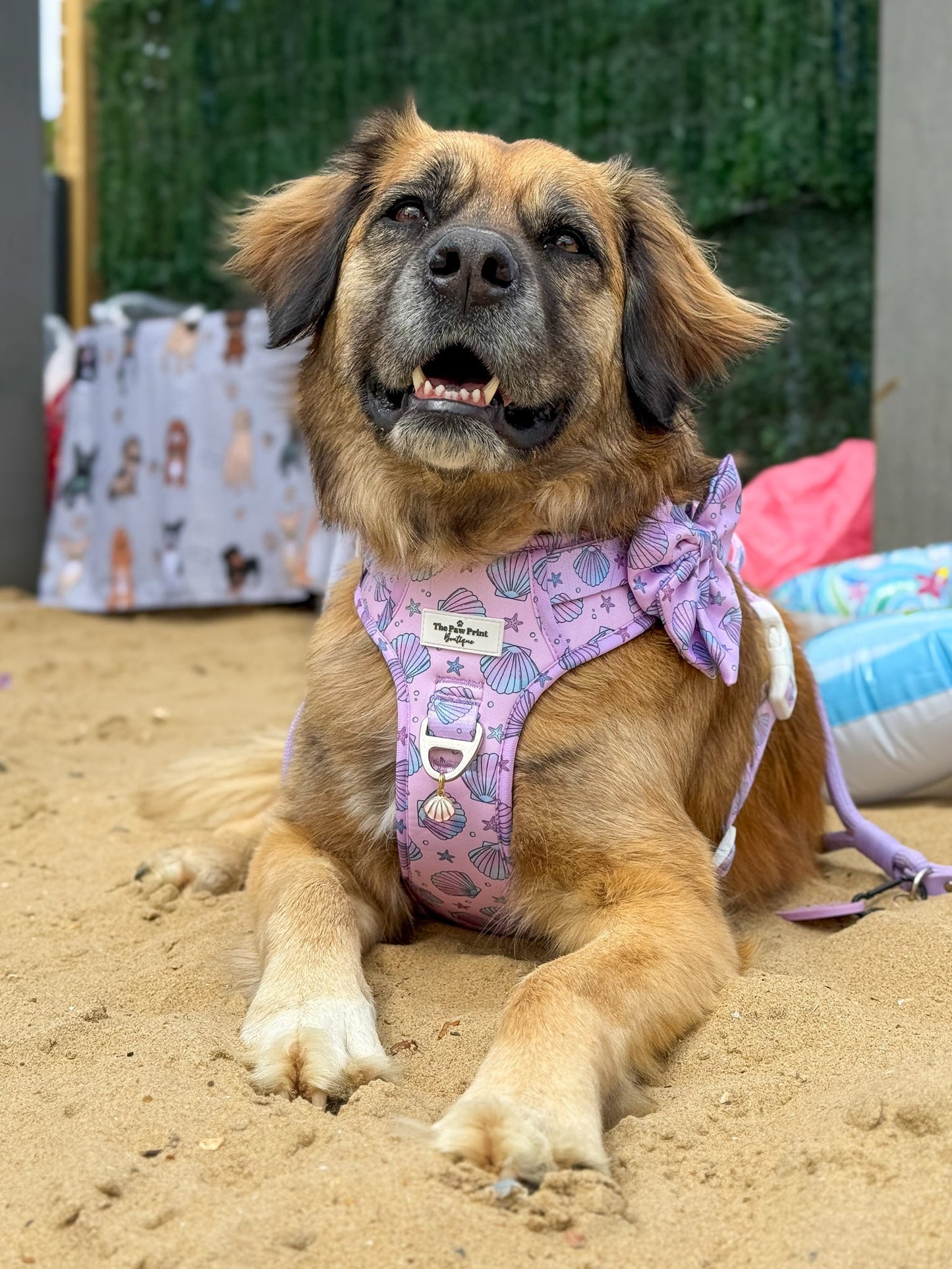 Mermaids Tails Adventure Paws Harness
