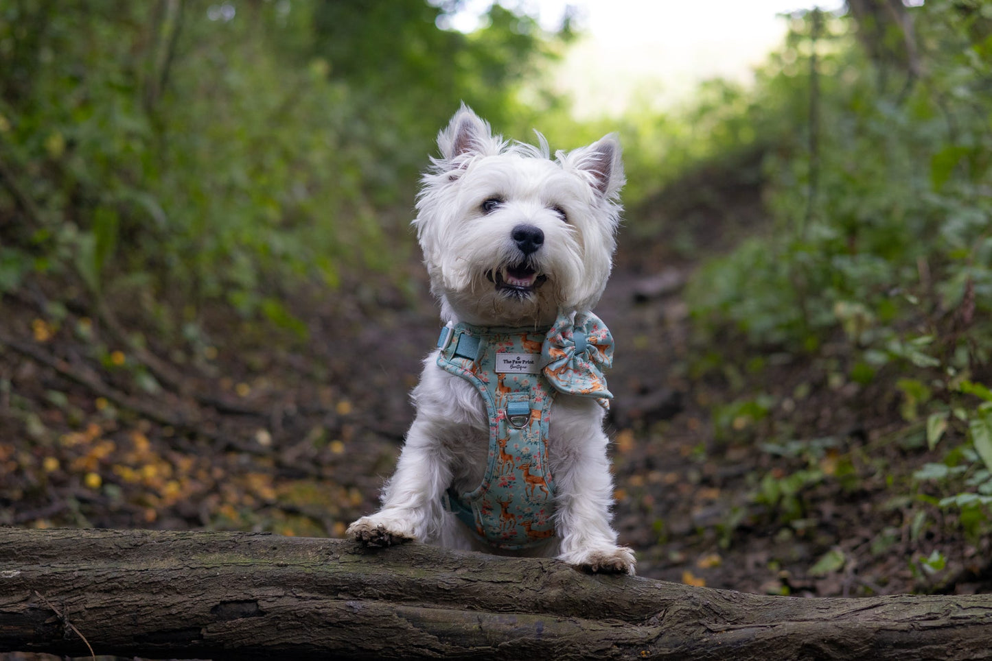 Bambi in Bloom Adventure Paws Harness