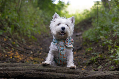 Bambi in Bloom Adventure Paws Harness