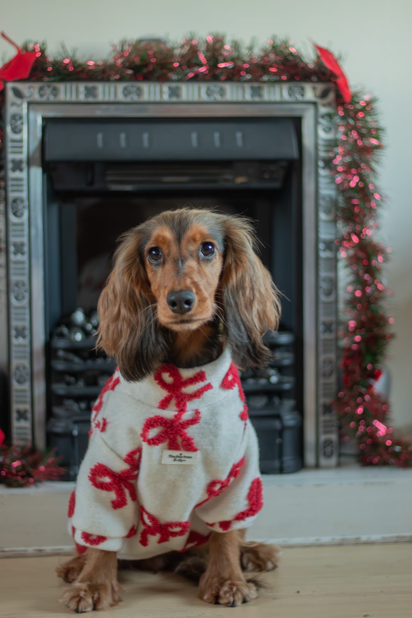 The Red Bow Fleece