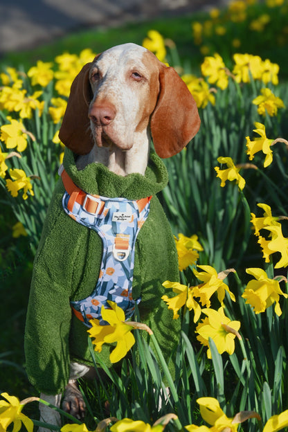 Teddy Fleece - Meadow