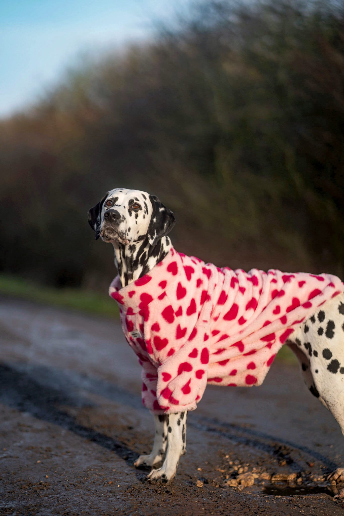The Love Hearts Fluffy & Fabulous Fleece - Pink