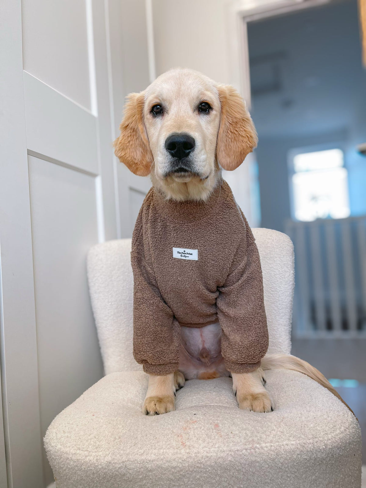Teddy Fleece - Mocha