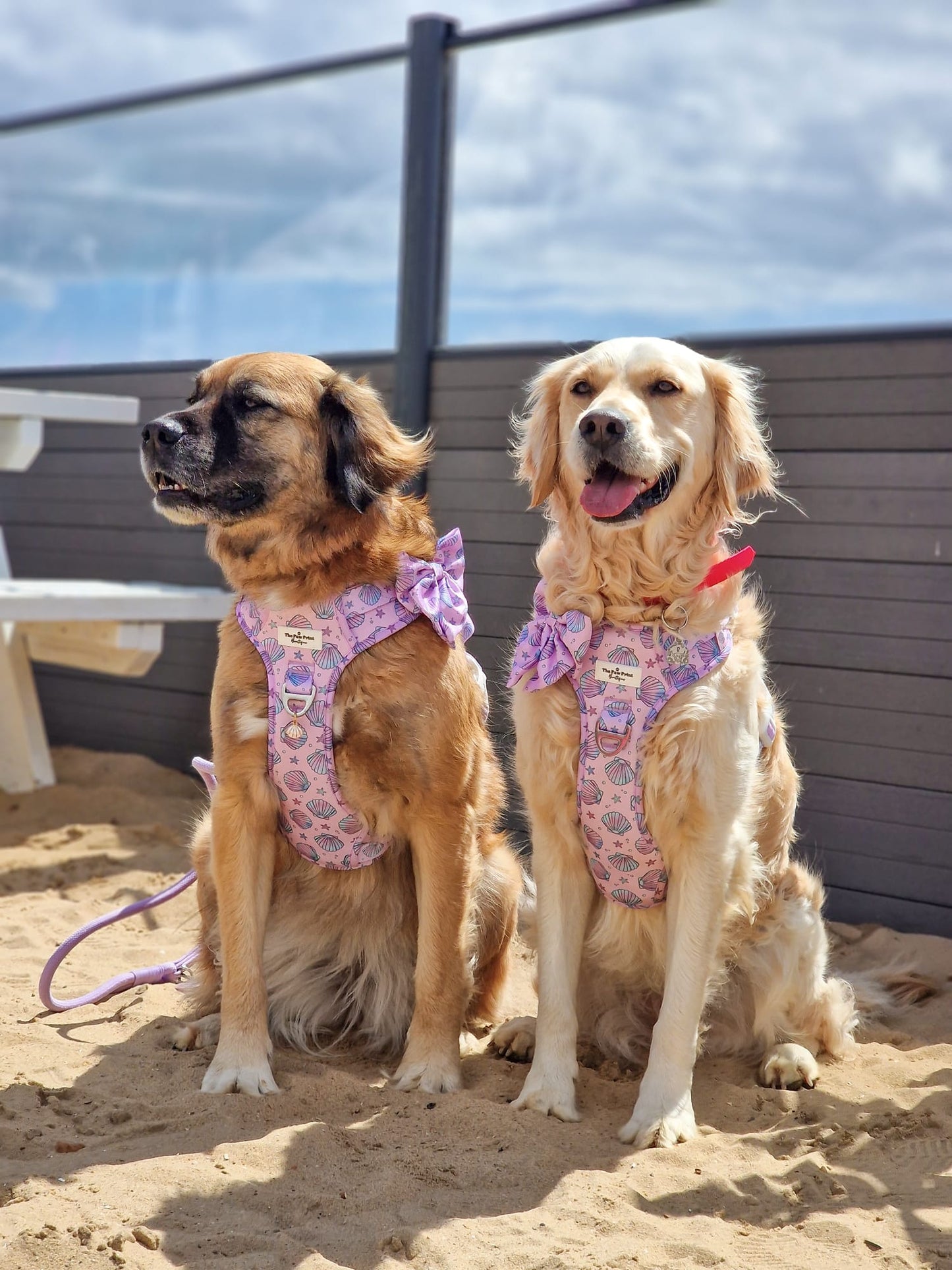 Mermaids Tails Adventure Paws Harness