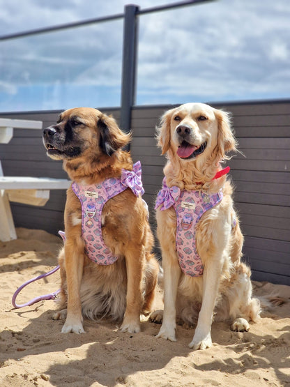 Mermaids Tails Adventure Paws Harness