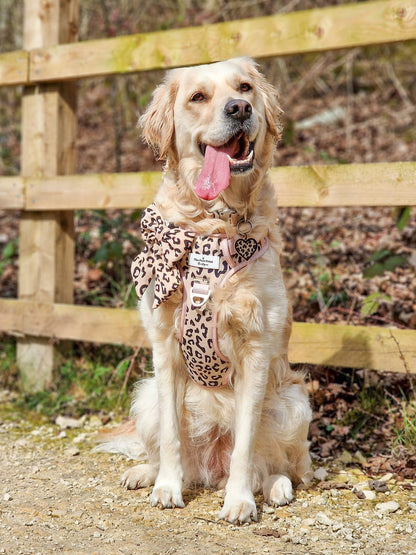 The Luxe Leopard (Beige) Adventure Paws Harness