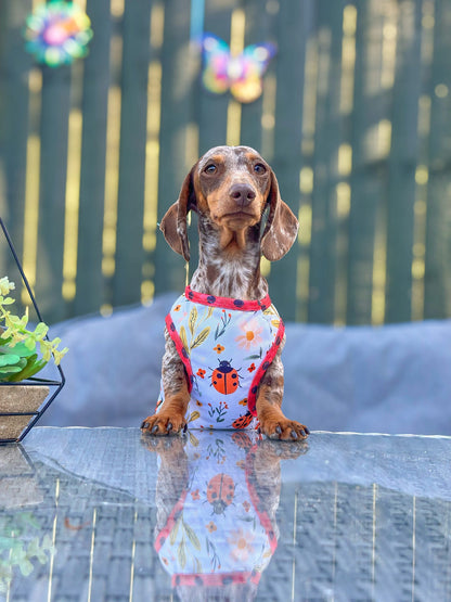 Ladybird Lane Cooling Vest
