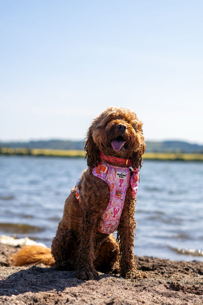 Under the Sea Adventure Paws Harness
