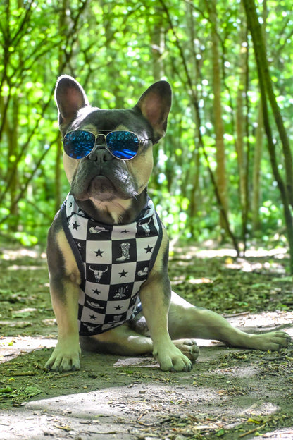 Wild West Cooling Vest