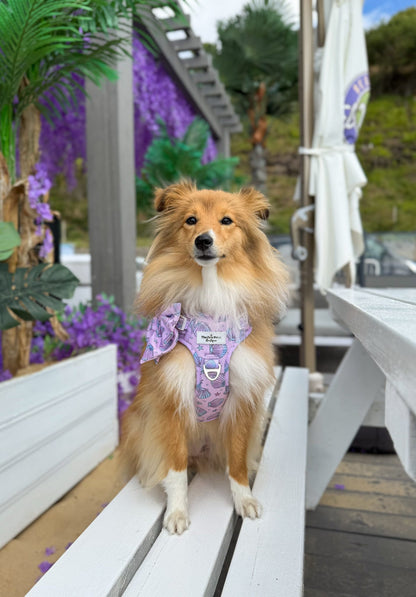 Mermaids Tails Adventure Paws Harness