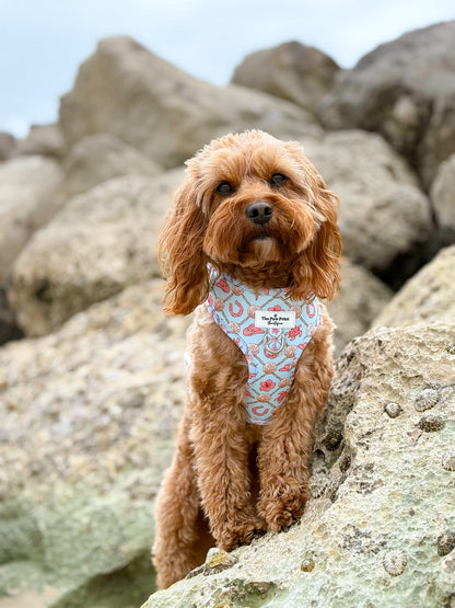 She sells Seashells by the YEEHAW Adjustable Harness