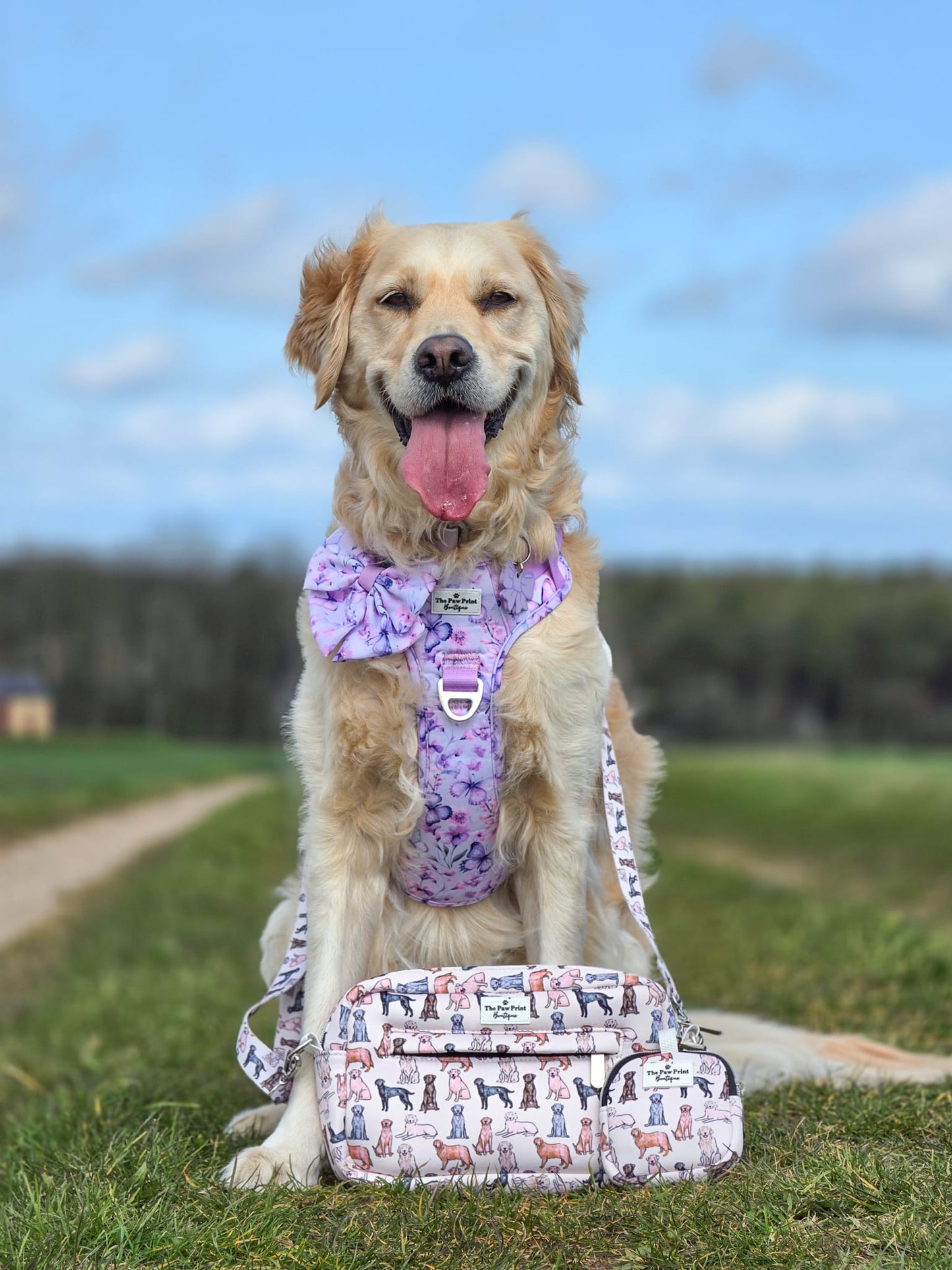 The Labrador/Retriever Dog Walking Bag