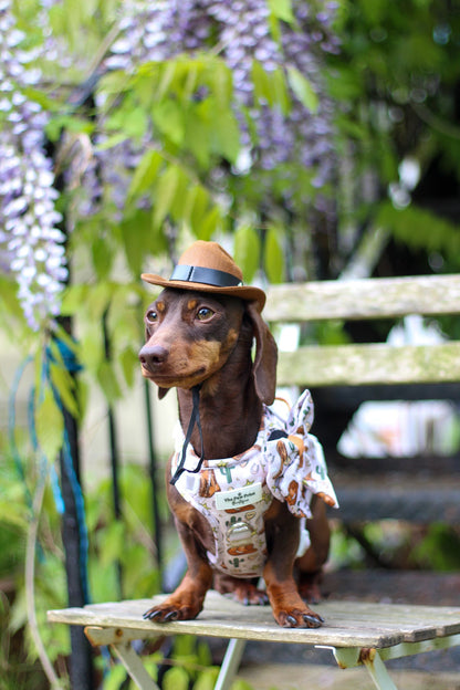Howdy Pawtner Adventure Paws Harness
