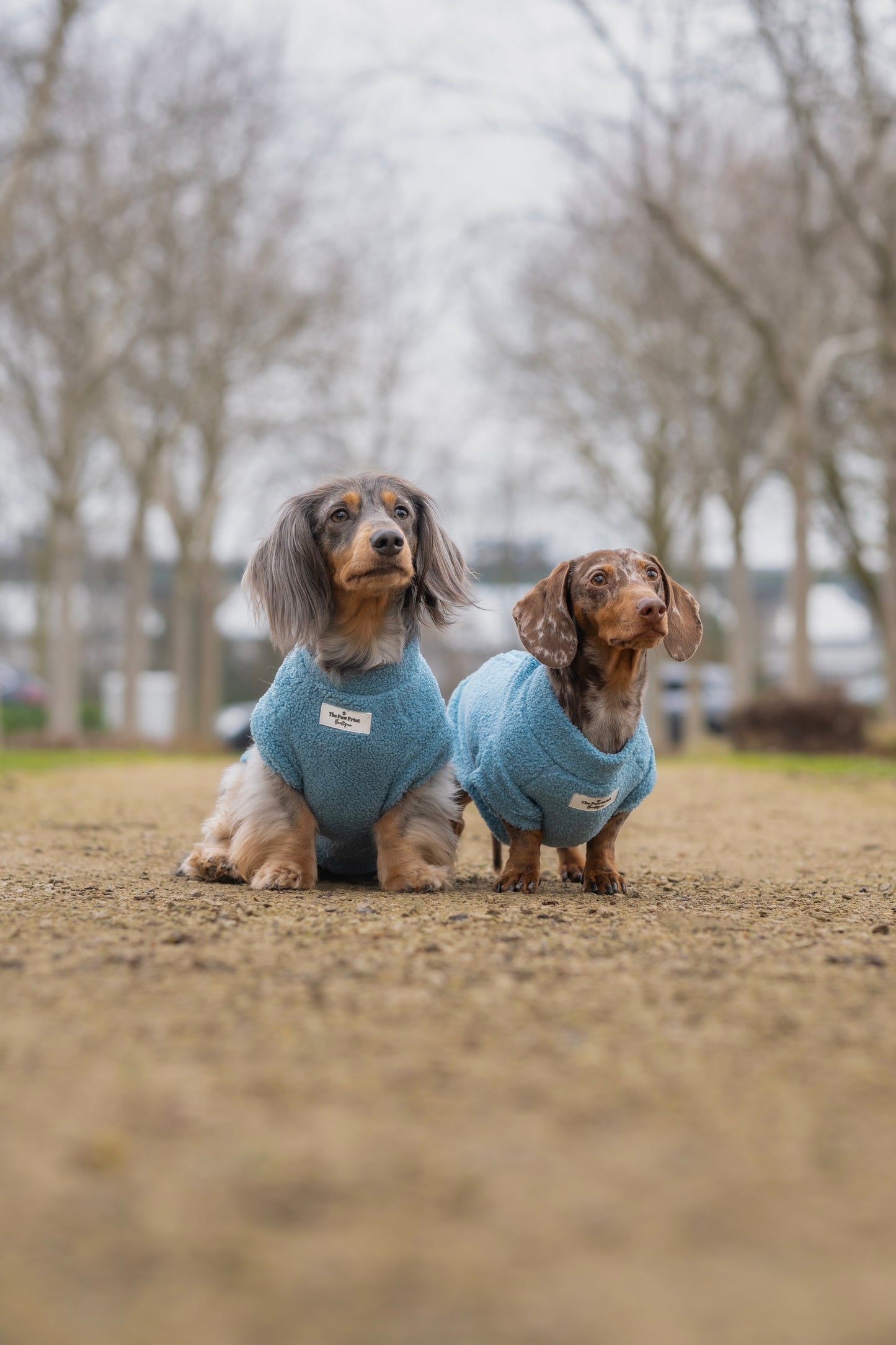 Teddy Fleece - Sea Blue