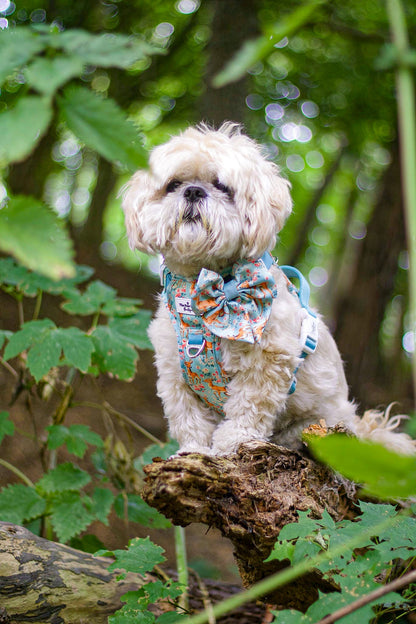 Bambi in Bloom Adventure Paws Harness