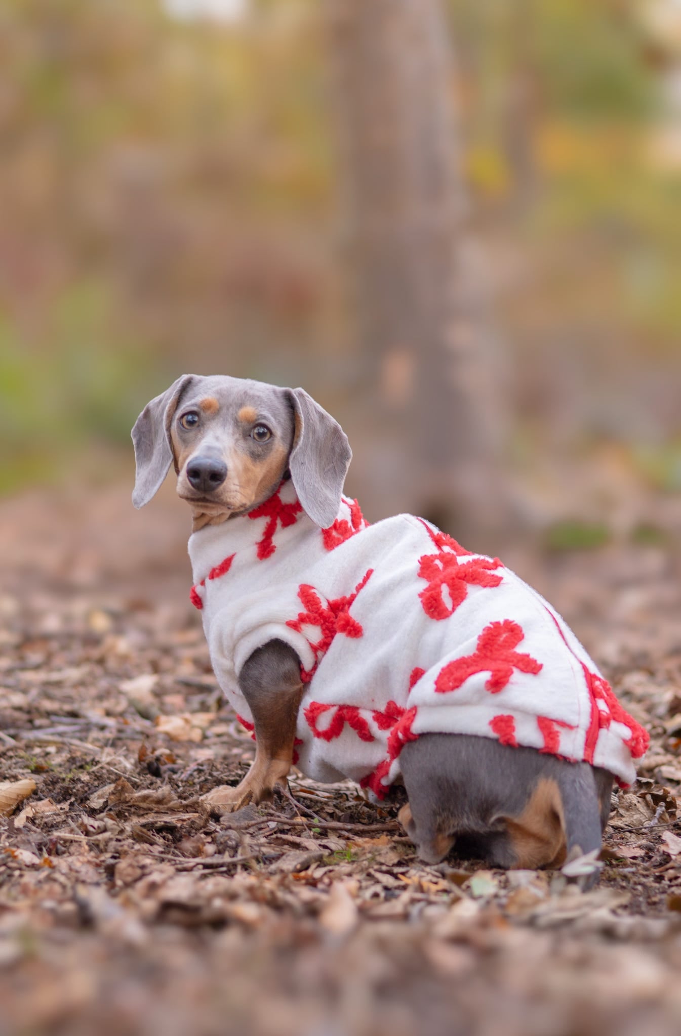 The Red Bow Fleece