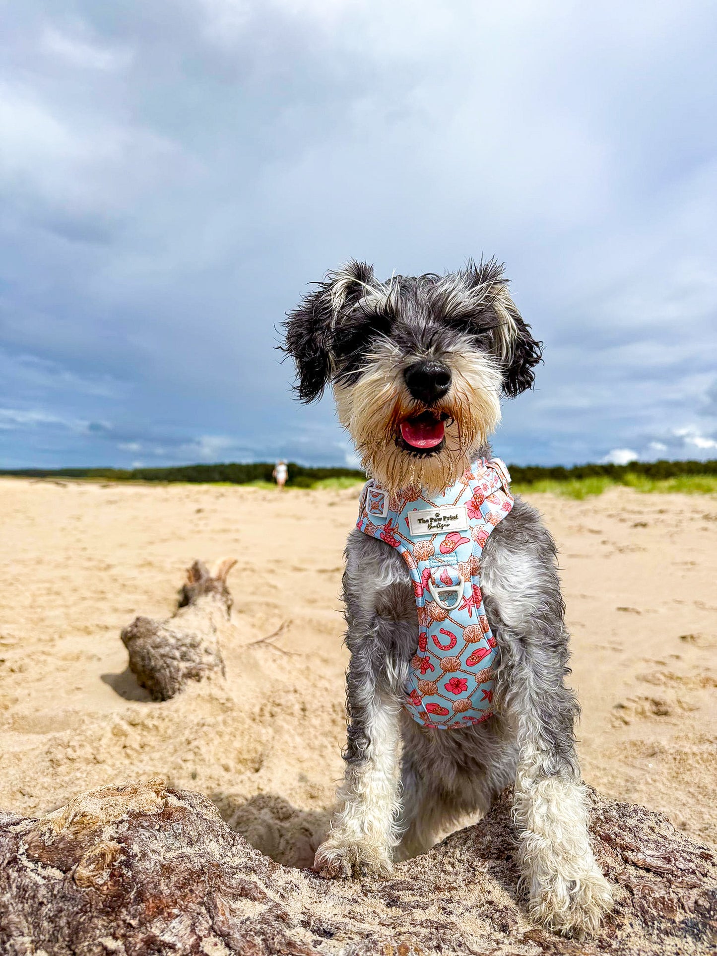 She sells Seashells by the YEEHAW Adventure Paws Harness