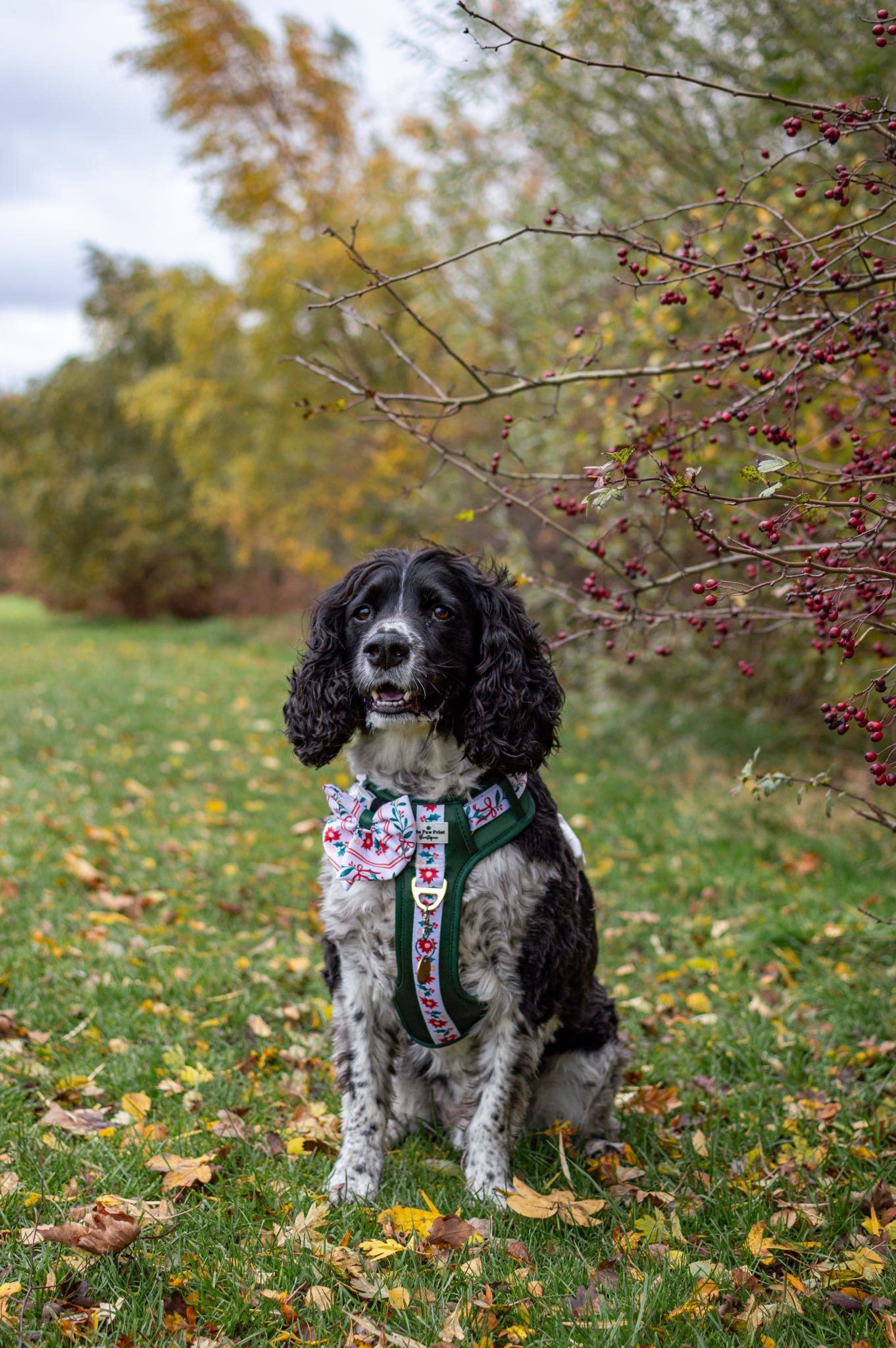 Festive Traditions Bow Tie