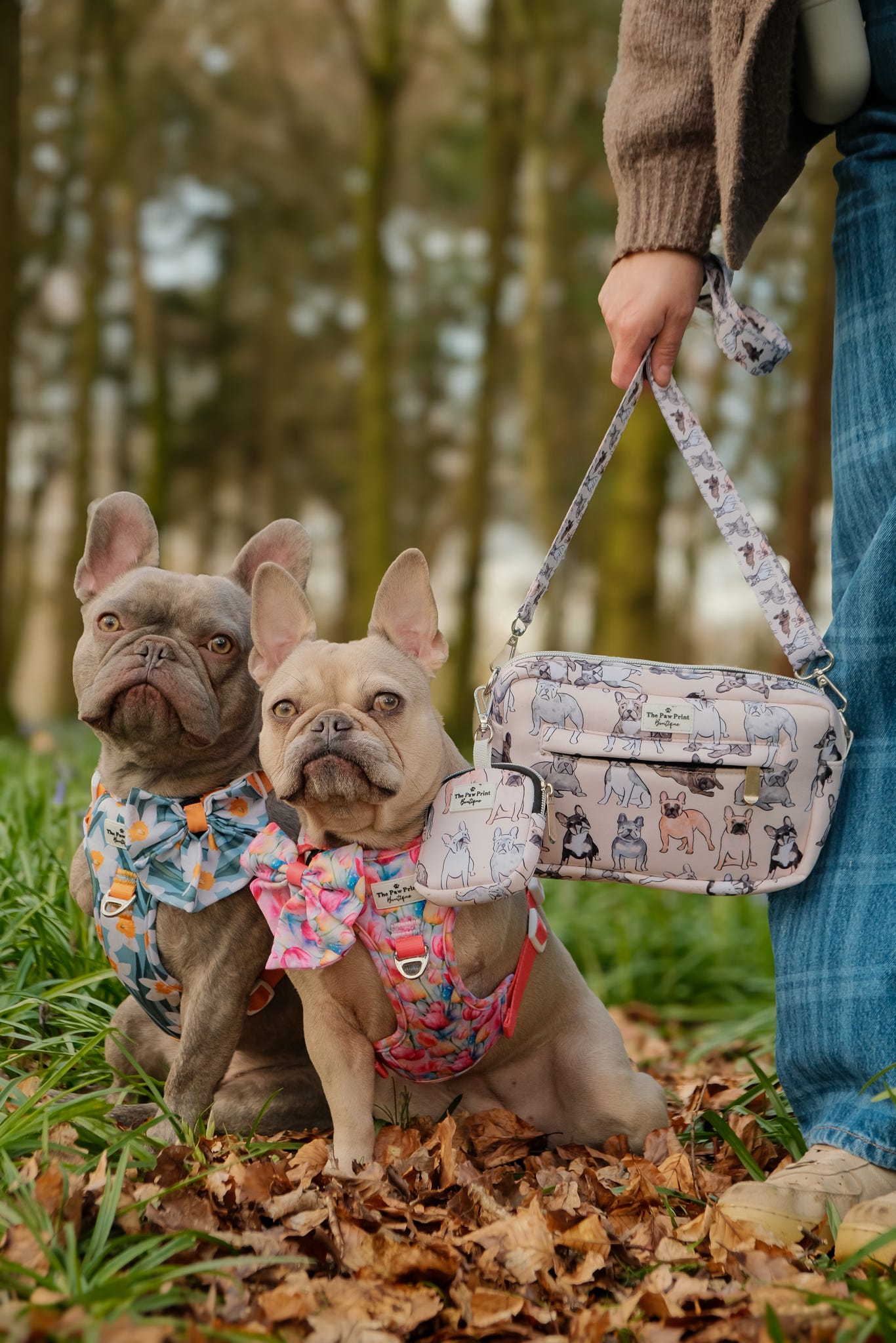 The French Bulldog Dog Walking Bag