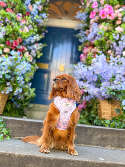 Mermaids Tails Adventure Paws Harness