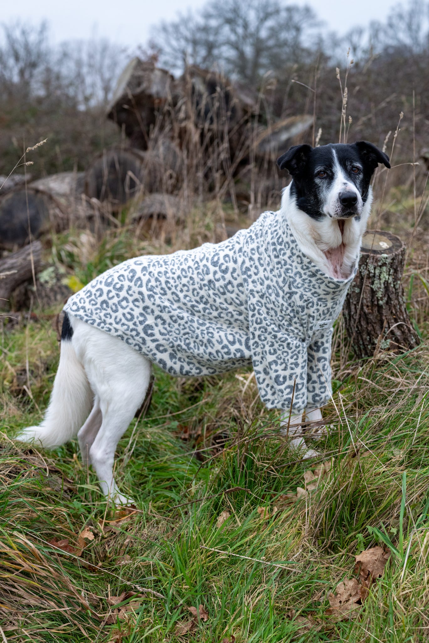 The Grey & Glittery Leopard Print Teddy Fleece