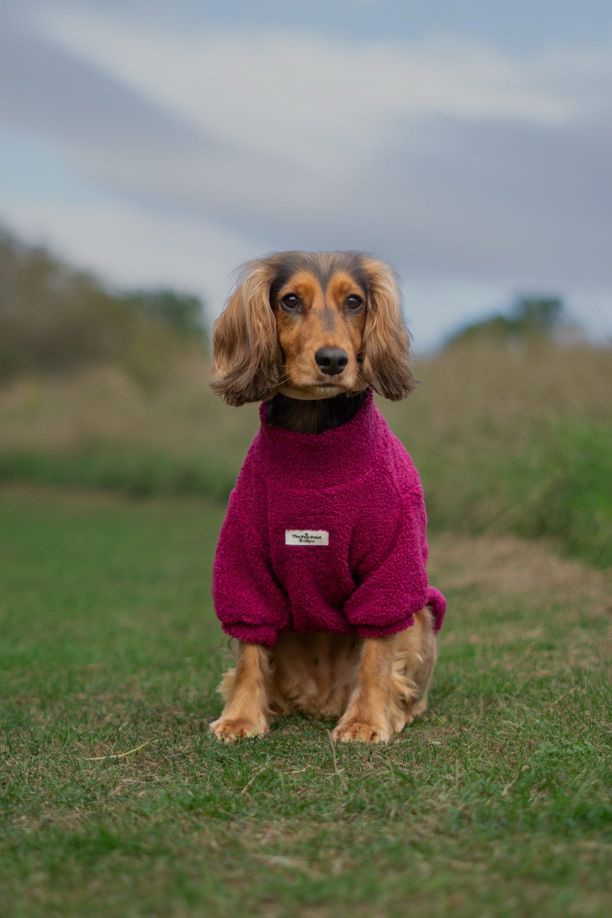Teddy Fleece - Magenta
