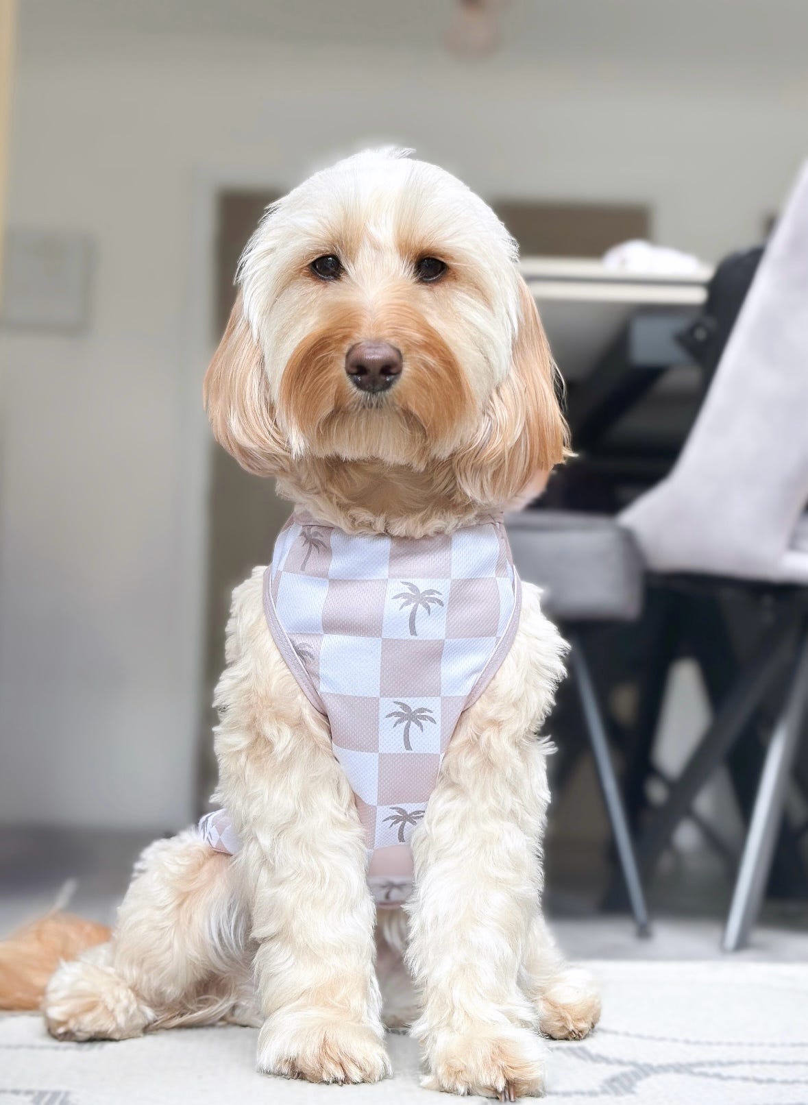 Palm Springs Cooling Vest