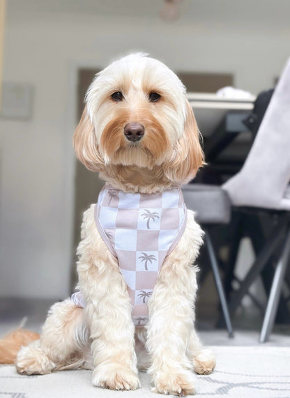 Palm Springs Cooling Vest