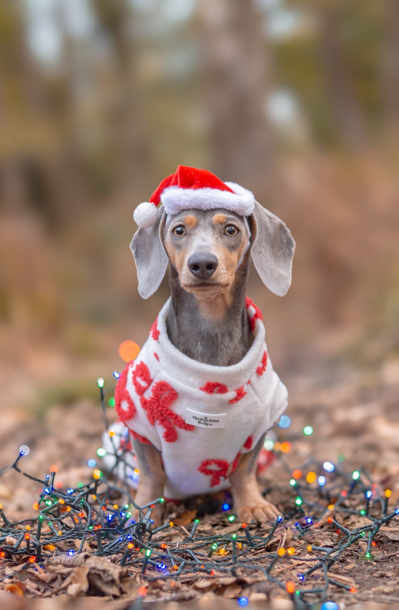 The Red Bow Fleece